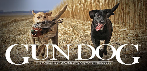 GunDog Magazine PC screenshot