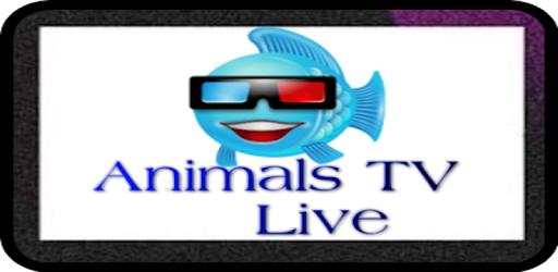 Animals TV Live PC screenshot