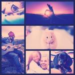 Photo Collage & Profile Pic Creator, DP Maker icon