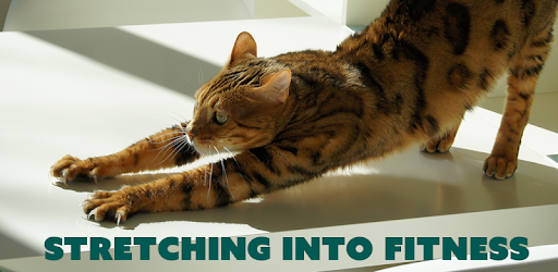 Stretching Exercises Flexibility : The Stretch App PC screenshot