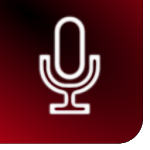 karaoke roulette for PC