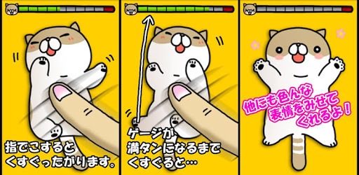Joke cat PC screenshot
