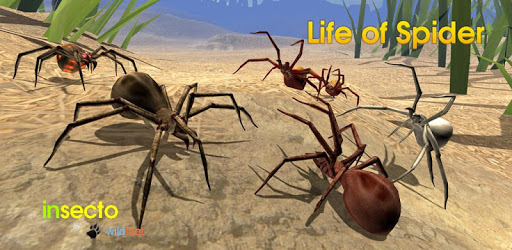 Life of Spider PC screenshot Life of Spider PC screenshot