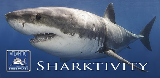 Sharktivity - White Shark App PC screenshot