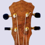 Ukulele Chords & Scales (free) for PC Ukulele Chords & Scales (free) for PC