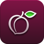 iPlum: 2nd Phone Number US, Canada, 800 Toll Free icon