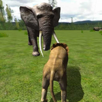 Real Lion Simulator 3D icon