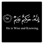 Islamic Reminders Quotes for PC