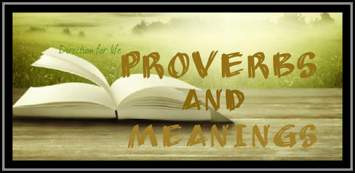 Proverbs and Meanings PC screenshot