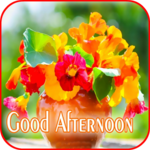 Good Afternoon 3D Images for PC Good Afternoon 3D Images for PC