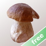 Myco free - Mushroom Guide icon