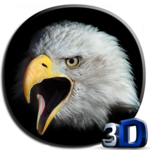 Eagle 3D Video Live Wallpaper for PC Eagle 3D Video Live Wallpaper for PC