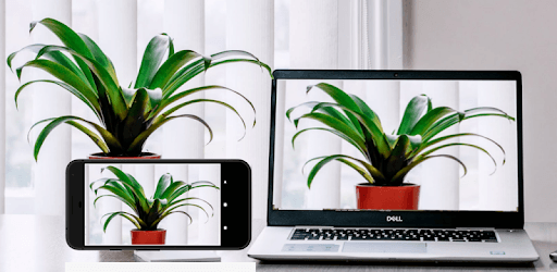mCam WiFi Webcam PC screenshot