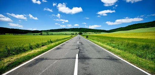 Alabama Driver License Test PC screenshot
