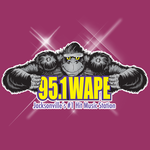 95.1 WAPE Jacksonville for PC