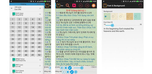 Korean-Vietnamese Bilingual Audio Holy Bible PC screenshot