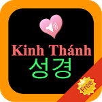 Korean-Vietnamese Bilingual Audio Holy Bible for PC
