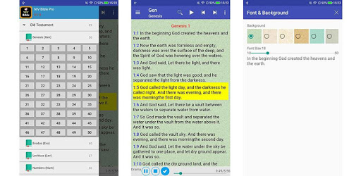New International Version Holy Bible Audio NIV for PC - Free Download ...