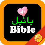 Urdu English Bilingual Audio Holy Bible Offline icon