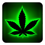 Rasta Green Neon Keyboard for PC