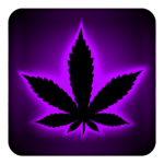 Rasta Purple Neon Keyboard for PC
