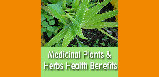 Medicinal Plants & Herbs Health Benefits and Uses PC screenshot Medicinal Plants & Herbs Health Benefits and Uses PC screenshot