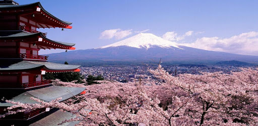 Japanese language module PC screenshot Japanese language module PC screenshot