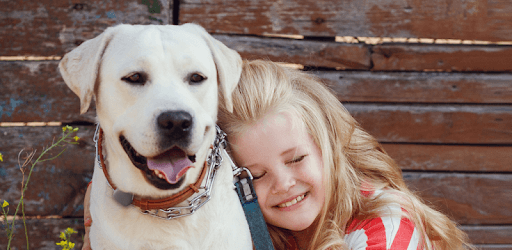 Jiobit - More than a GPS Tracker for Kids and Pets PC screenshot Jiobit - More than a GPS Tracker for Kids and Pets PC screenshot