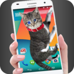 Cat Walks in Phone Cute Phone Joke for PC Cat Walks in Phone Cute Phone Joke for PC