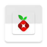 Pi-hole icon