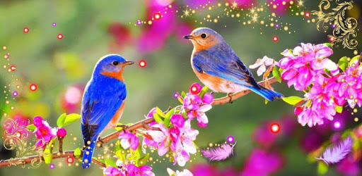 Beauty Birds live wallpaper PC screenshot