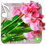March 8 Free LWP for PC