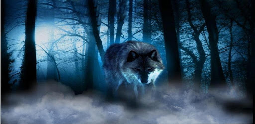 Wolves Night live wallpaper PC screenshot