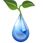 Hydroponic Nutrient Require for PC Hydroponic Nutrient Require for PC