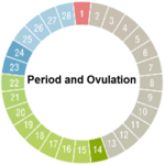 Period and Ovulation for PC