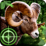 Wild Hunter 3D icon