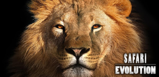 Safari: Evolution PC screenshot