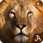 Safari: Evolution for PC