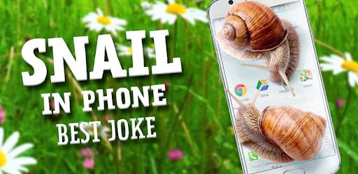Snail in Phone best joke PC screenshot
