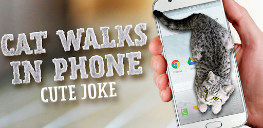 Cat Walks in Phone Cute Joke PC screenshot Cat Walks in Phone Cute Joke PC screenshot