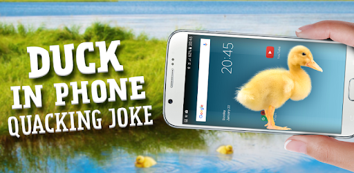 Duck in phone Quacking joke PC screenshot Duck in phone Quacking joke PC screenshot