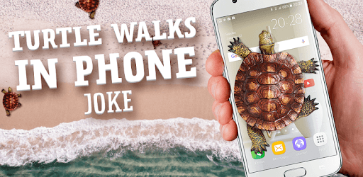 Turtle Walks in Phone joke PC screenshot Turtle Walks in Phone joke PC screenshot