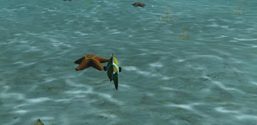Real Fish Simulator PC screenshot
