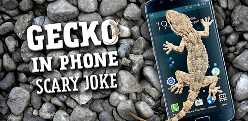 Gecko in Phone scary joke PC screenshot