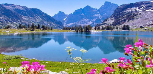 Nature HD Pictures PC screenshot