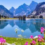 Nature HD Pictures icon