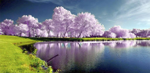 Wallpapers HD Nature PC screenshot Wallpapers HD Nature PC screenshot