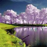 Wallpapers HD Nature for PC Wallpapers HD Nature for PC