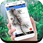 Lizard Screen On Phone for PC Lizard Screen On Phone for PC