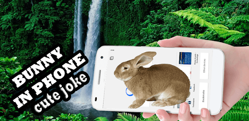 Rabbit in Phone Cute Joke PC screenshot